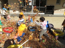 葉っぱがいっぱい！！