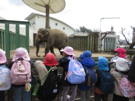 お別れ遠足に行ったよ！