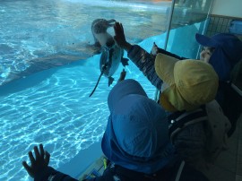 お別れ遠足に行きました🐘